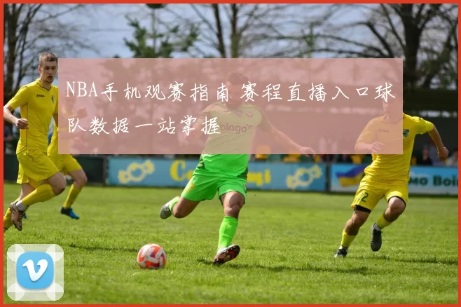 NBA手机观赛指南 赛程直播入口球队数据一站掌握