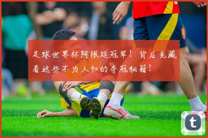 足球世界杯阿根廷冠军!背后竟藏着这些不为人知的夺冠秘籍!