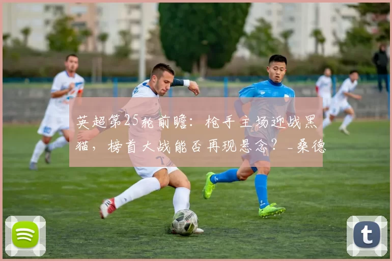 英超第25轮前瞻:枪手主场迎战黑猫,榜首大战能否再现悬念?_桑德兰_阿森纳_防守