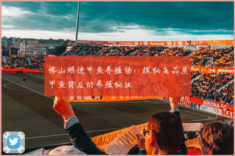 佛山顺德甲鱼养殖场，探秘高品质甲鱼背后的养殖秘诀