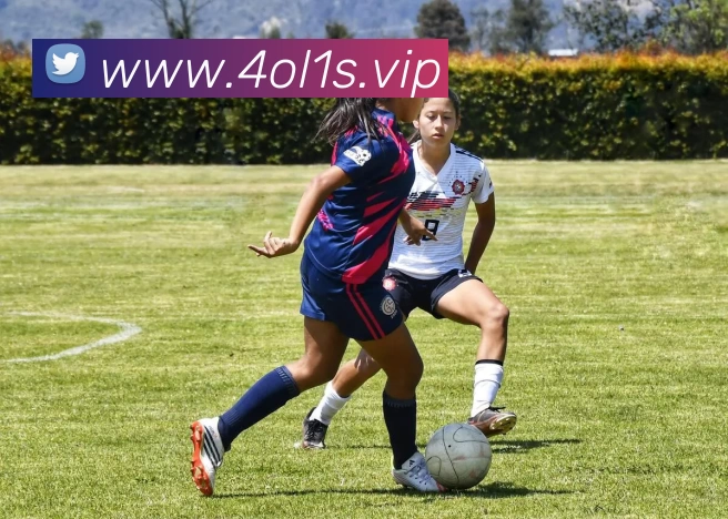 开云(中国)Kaiyun·官方网站 - 登录入口APP 封面图