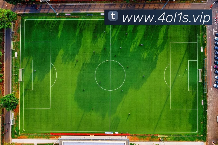 开云(中国)Kaiyun·官方网站 - 登录入口APP 高清赛事图